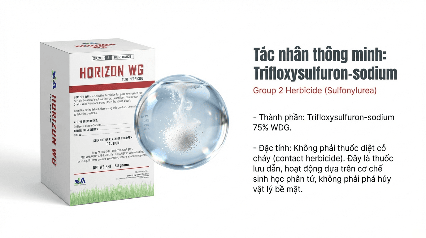 Vì sao thuốc diệt cỏ lá rộng chọn lọc HORIZON WG không gây hại cỏ cảnh quan 2