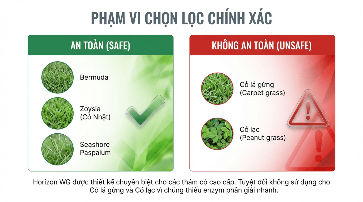 Vì sao thuốc diệt cỏ lá rộng chọn lọc HORIZON WG không gây hại cỏ cảnh quan 8